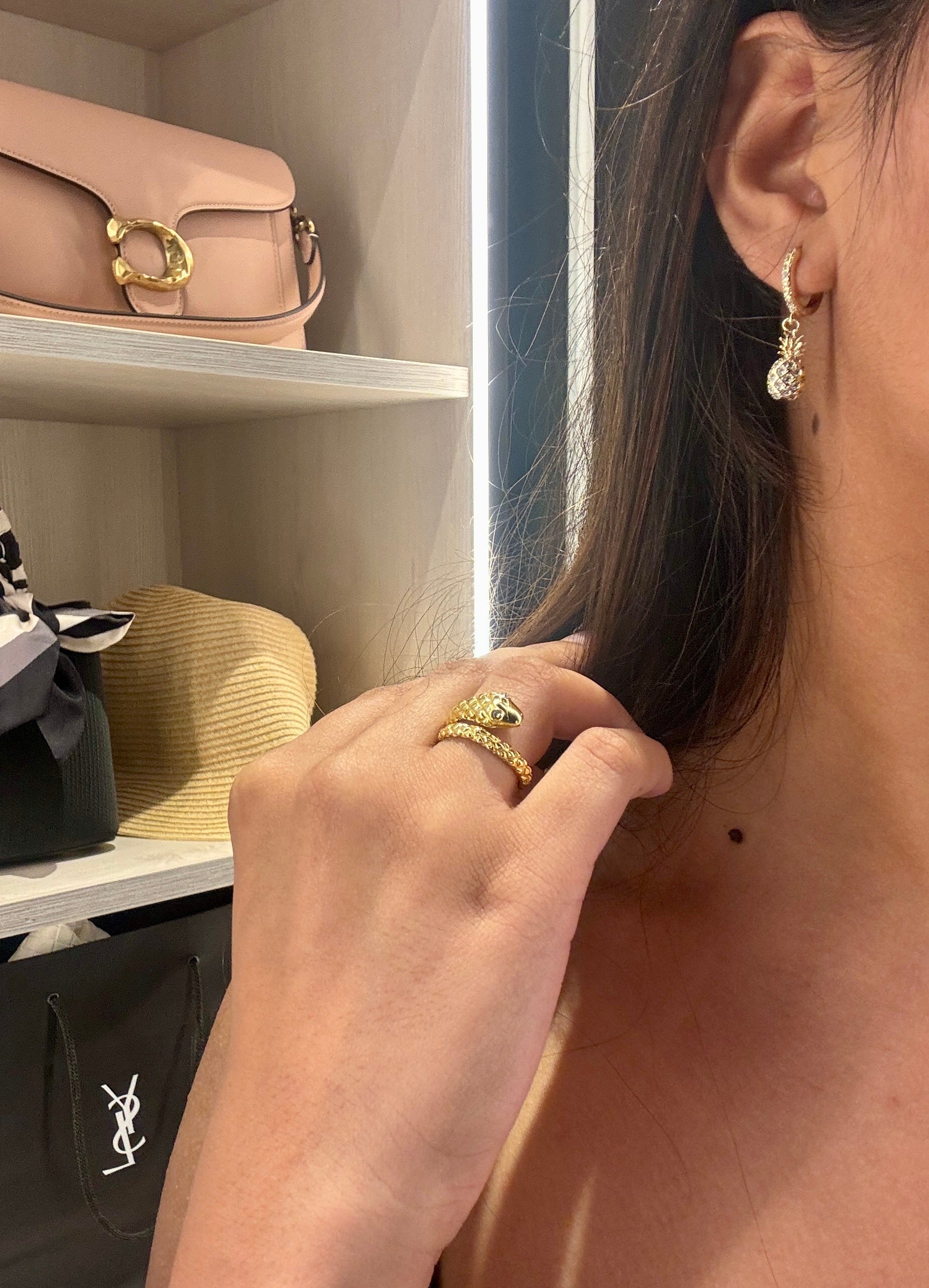 baari-pineaaple-earrings-snake-ring-ysl-coach-instagram-look