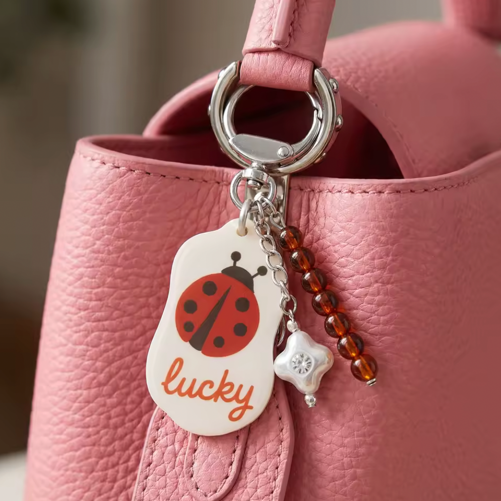 Lady Bug Lucky Bag Charm